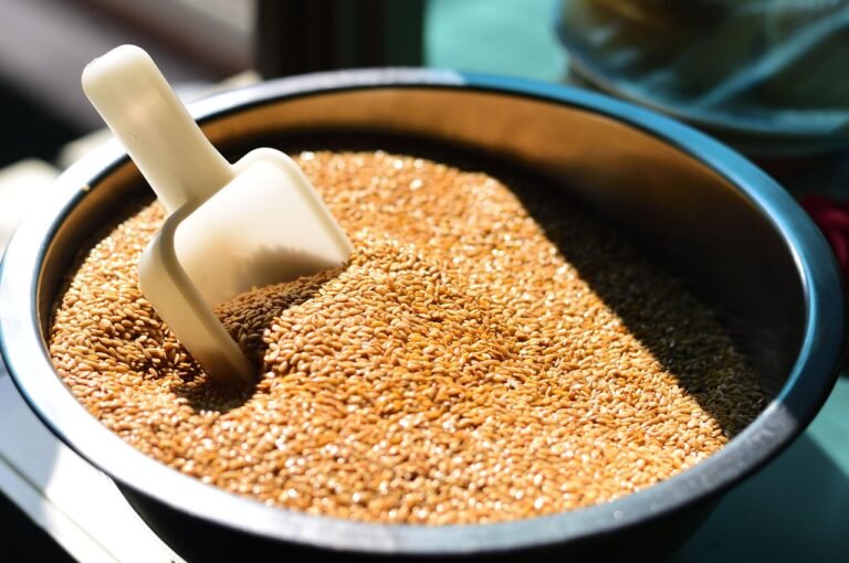 flaxseed-8503174_1280