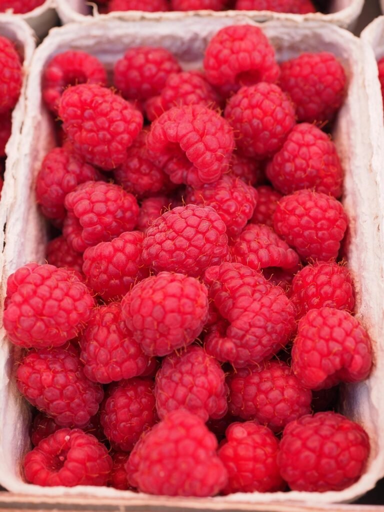 raspberries-499114_1280