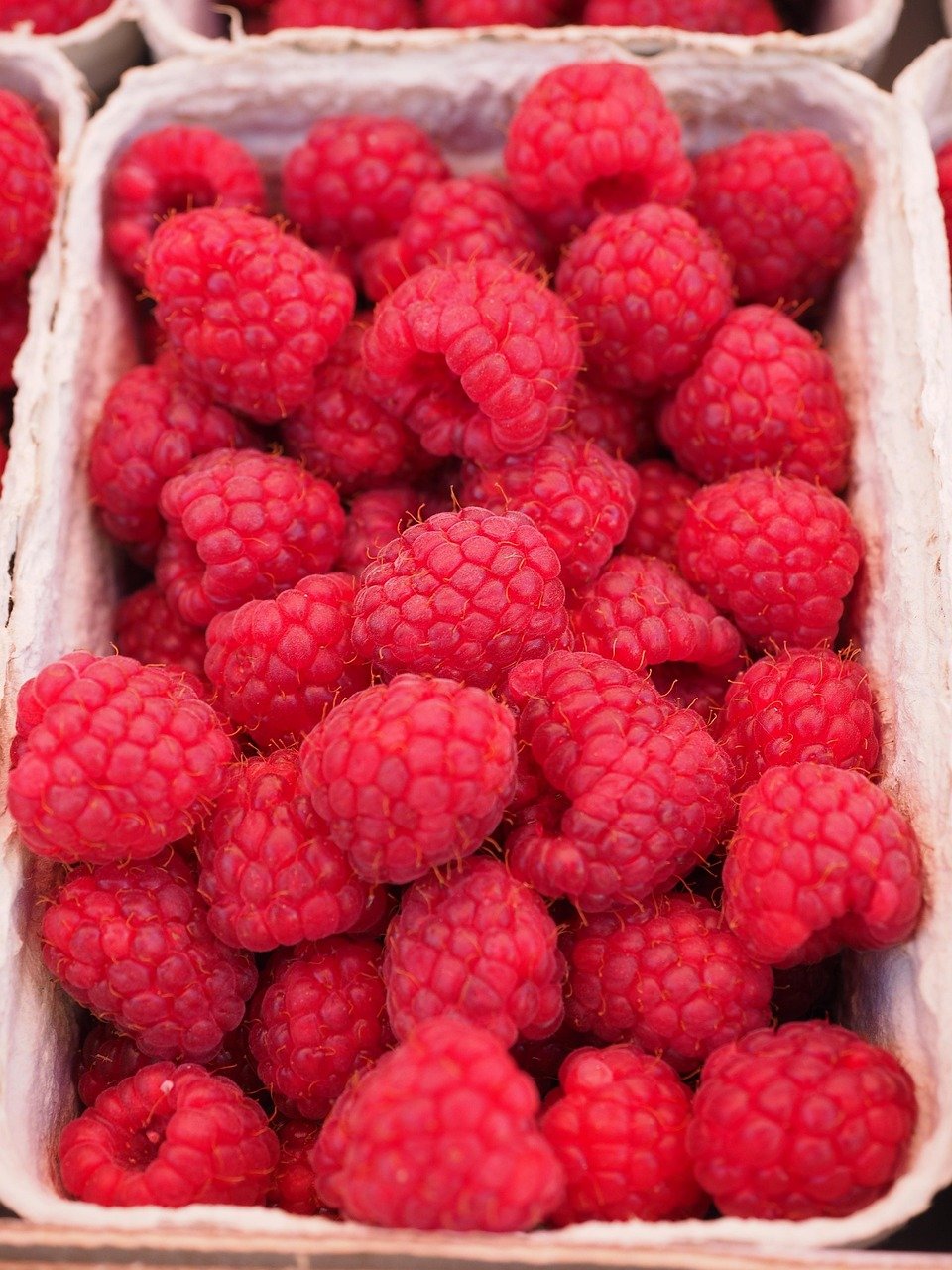 raspberries-499114_1280